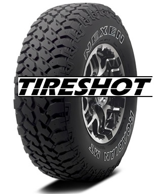 Nexen Roadian MT Tire